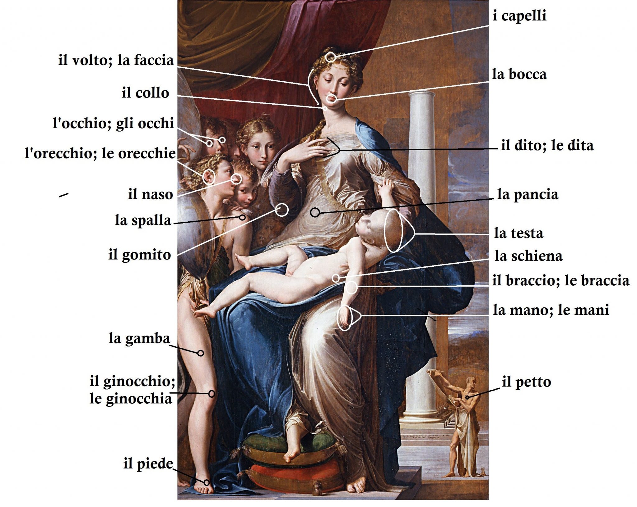 Le parti del corpo Spunti Italiano elementare 2