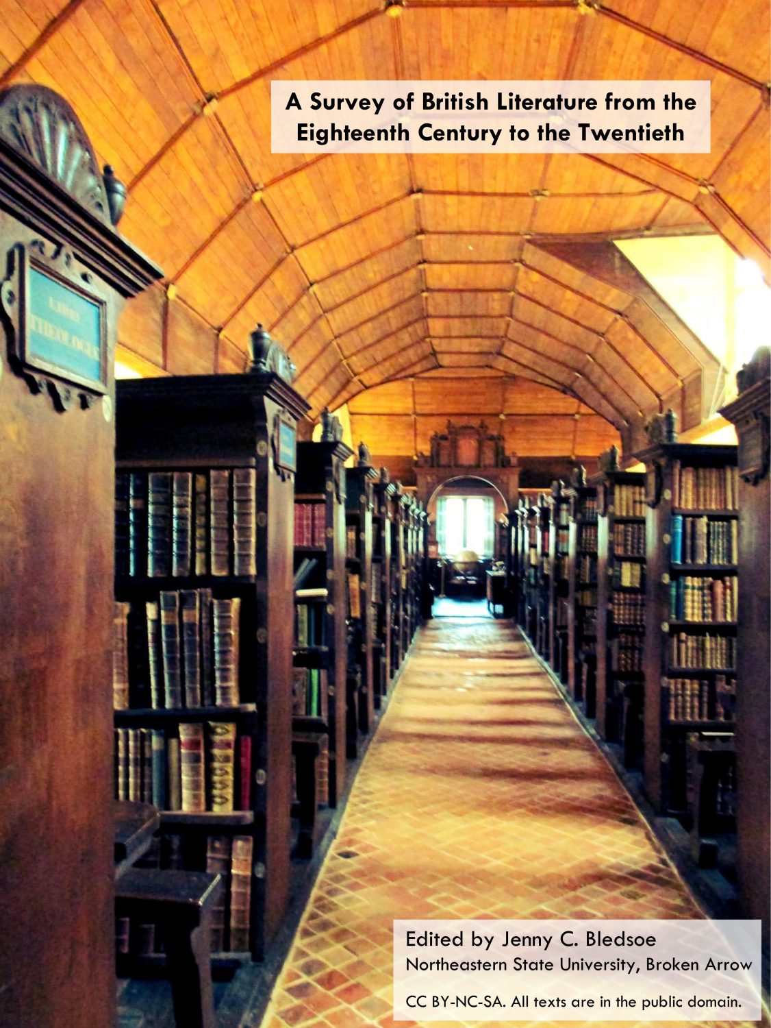 Cover image for A Survey of British Literature from the Eighteenth Century to the Twentieth