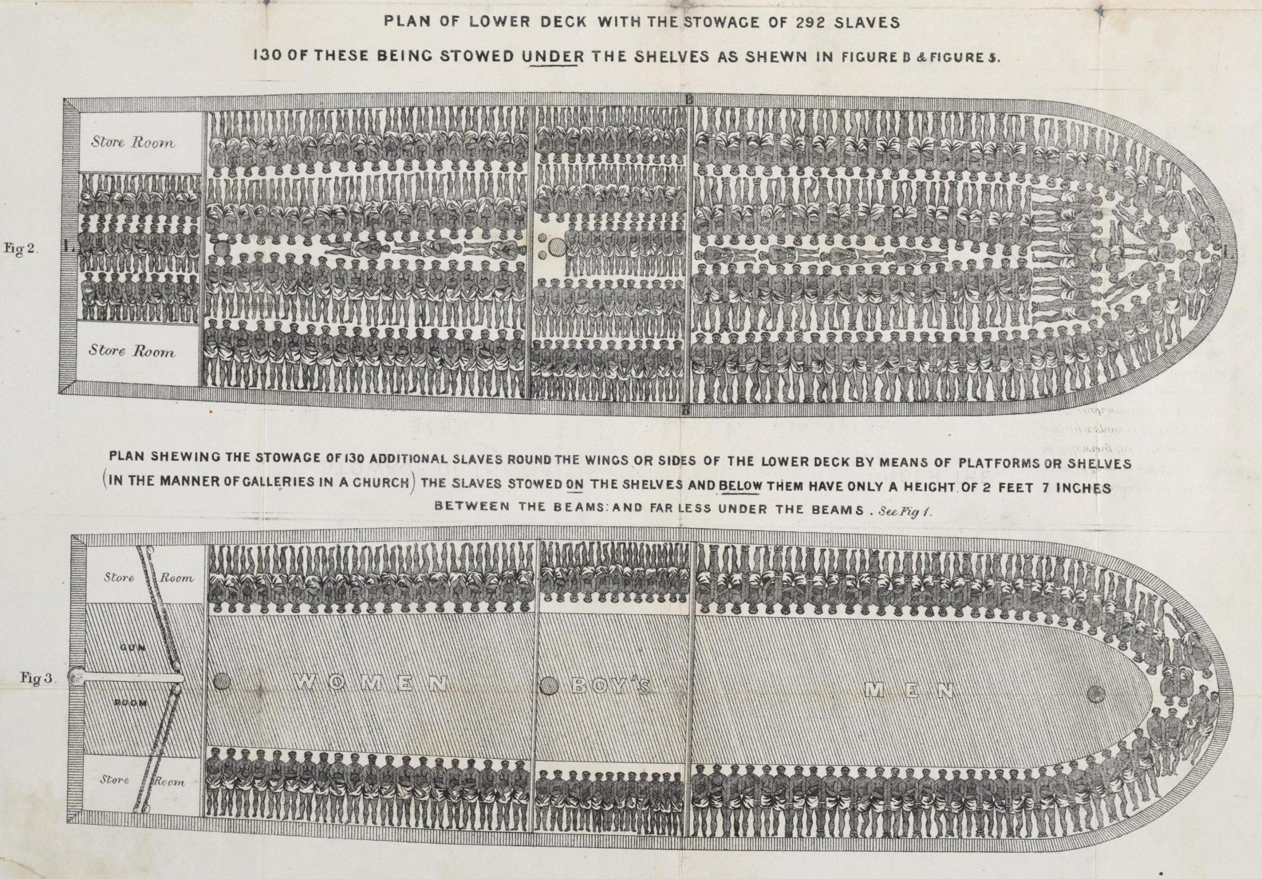 Slave ship diagram