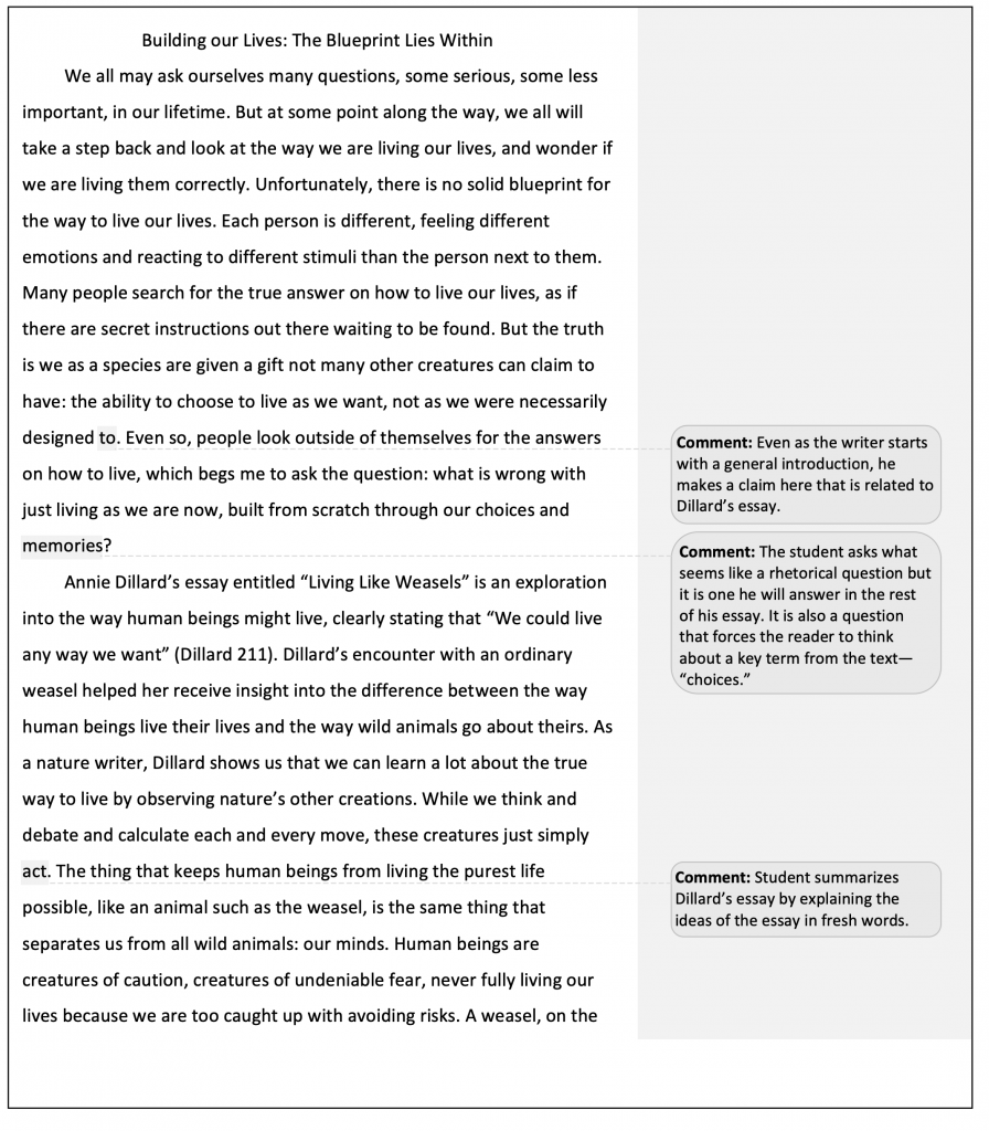 screenshot of example essay showing instructor markup / comments
