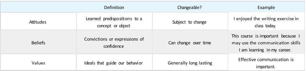 Table 3.1.1. Attitudes, Beliefs, and Values