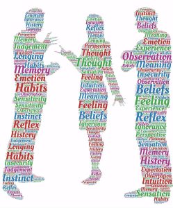 Conflict-Disagreement-Discussion Image by John Hain from Pixabay