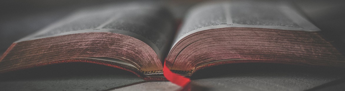 zoomed in image of a hardcover book open and laying flat