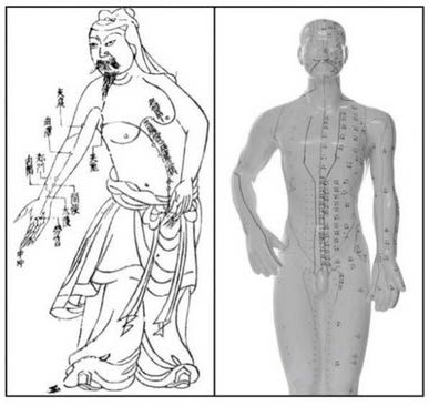 Figure 6 - Acupuncture Charts. Source: Image on the left from Wikimedia, http://commons.wikimedia.org/wiki/File:Acupuncture_chart_300px.jpg. Image on the right © Thinkstock