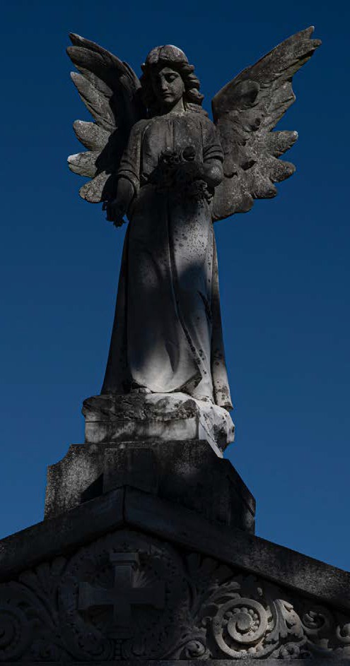image of winged statue in shadow