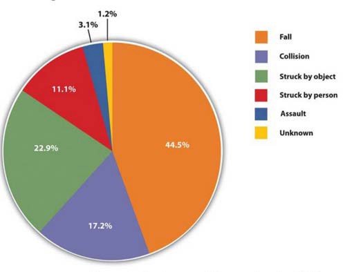 Figure 9.13 - Causes of Concussions in Children.