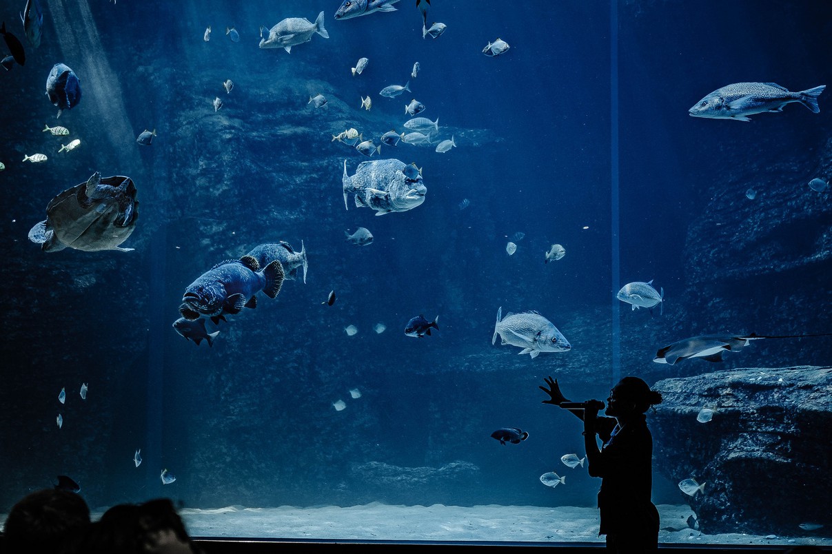 image of aquarium tank with person in front of it holding a microphone