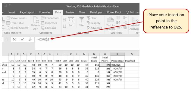 Insertion point shown between O and 25 in function bar, formula "=O5/O25" in cell P5.