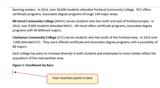 Insertion point is below &quot;Figure 1: Enrollment by Race&quot;