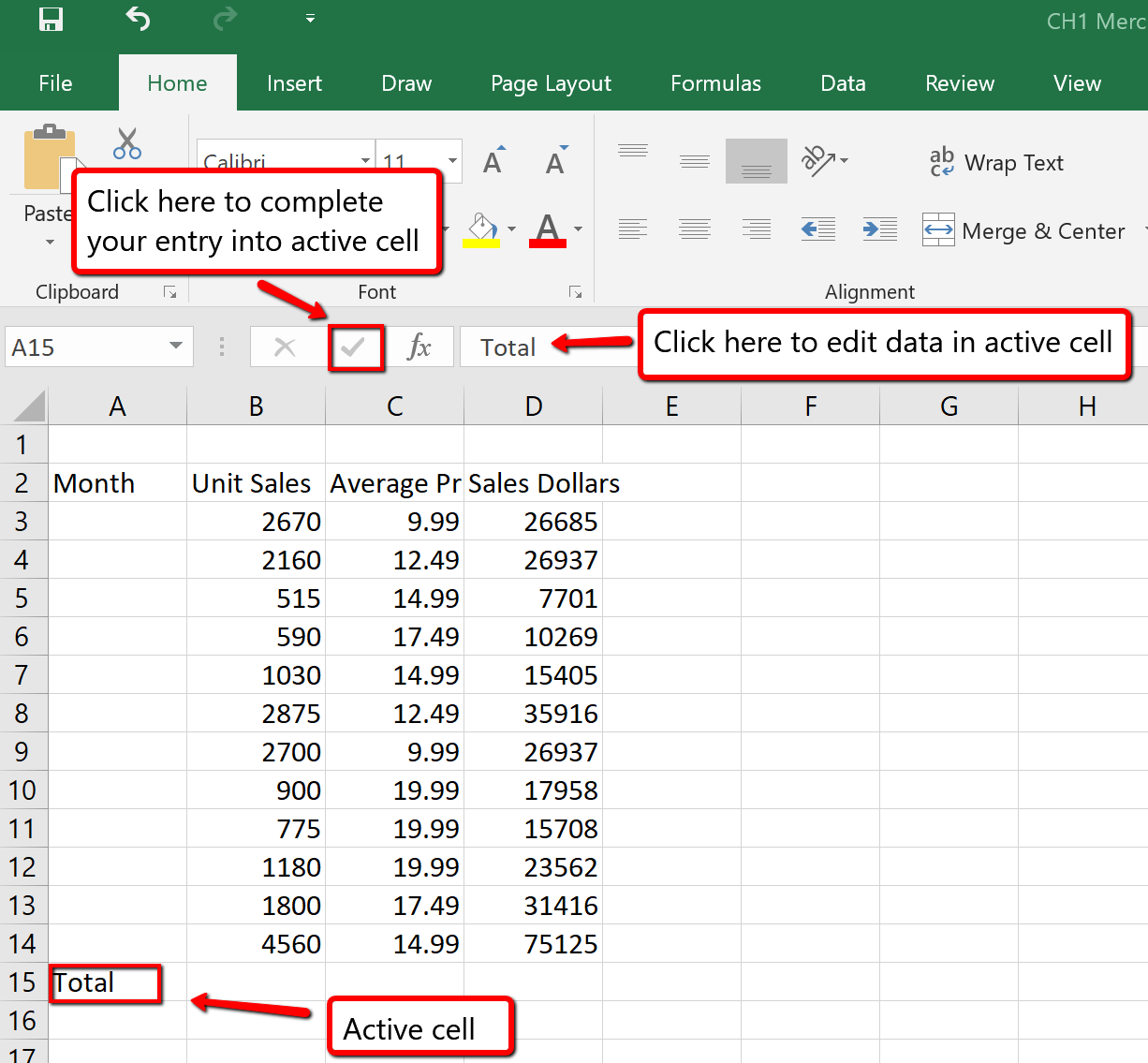 Checkmark left of formula bar is highlighted and "Total" is typed in formula bar. "Total" appears in active cell A15.