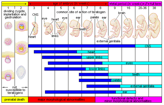 Figure 2.14