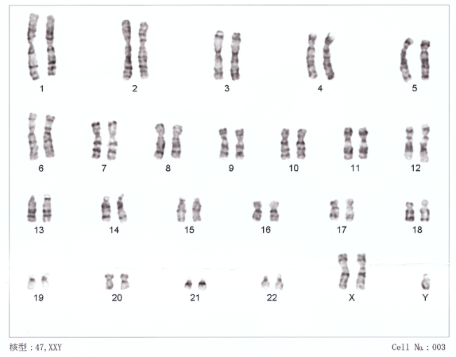 Figure 2.4